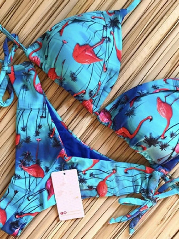 RUOTONGSEPT Sexy Print Bikinis Set Women Swimsuit Bandage Two-Piece Swimwear Brazilian Biquínis Beachwear Bathing Suit 2023 New