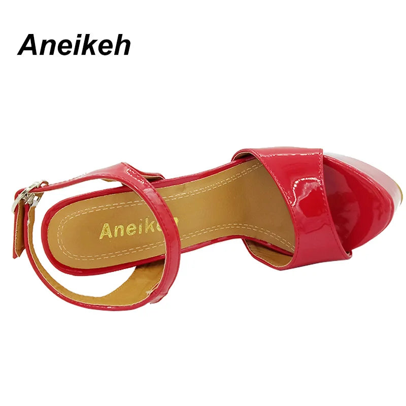 Aneikeh Vendite Calde 2026 Stile Estivo Sexy 16 Centimetri Sandali Delle Donne Tacchi Alti Open Toe Fibbie Discoteca Partito Scarpe Nero Grande Formato 15