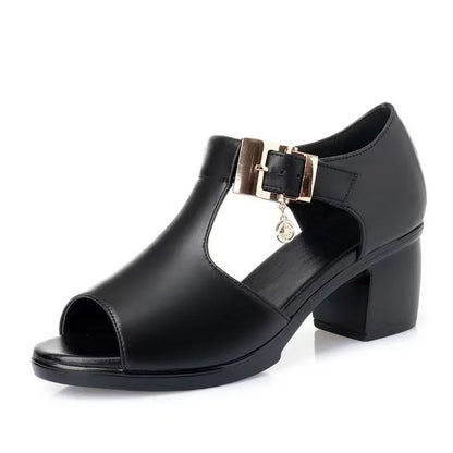 Pantoufles à grand talon en cristal pour femme avec bande transparente Imprimé léopard Sandales pour femme et femme à talons hauts