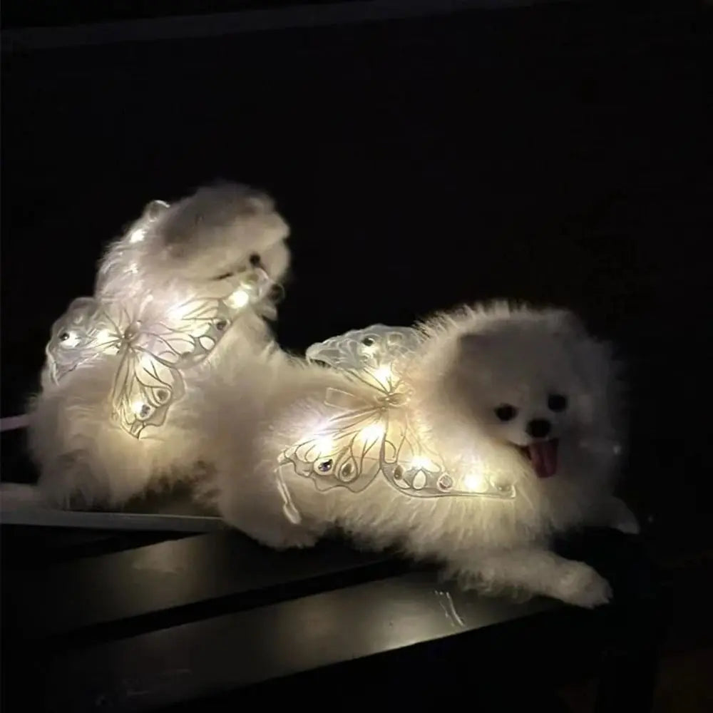 Simpatica farfalla luminosa con ala di cane per decorazione posteriore per animali domestici di piccola taglia e media, regalo dolce per animali domestici