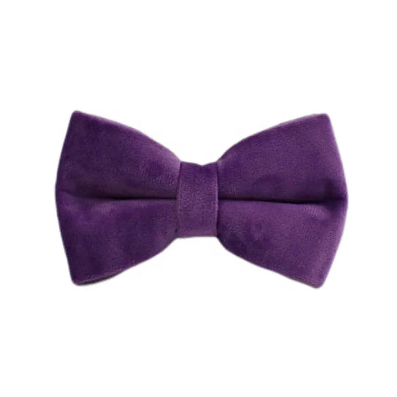 Set Collare e Guinzaglio per Cani in Velluto Viola per Cani di Taglia Piccola, Media e Grande con Targhetta Personalizzata Incisa Accessori per Animali Domestici Guinzaglio per Cani in Velluto 16