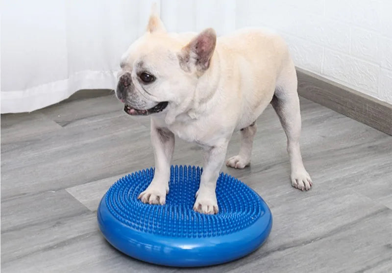 Cuscino per massaggio per animali domestici Piastra di equilibrio imbottita per cani Palla da yoga creativa Allenamento riabilitativo Forniture per animali Prodotti Giocattoli Accessori