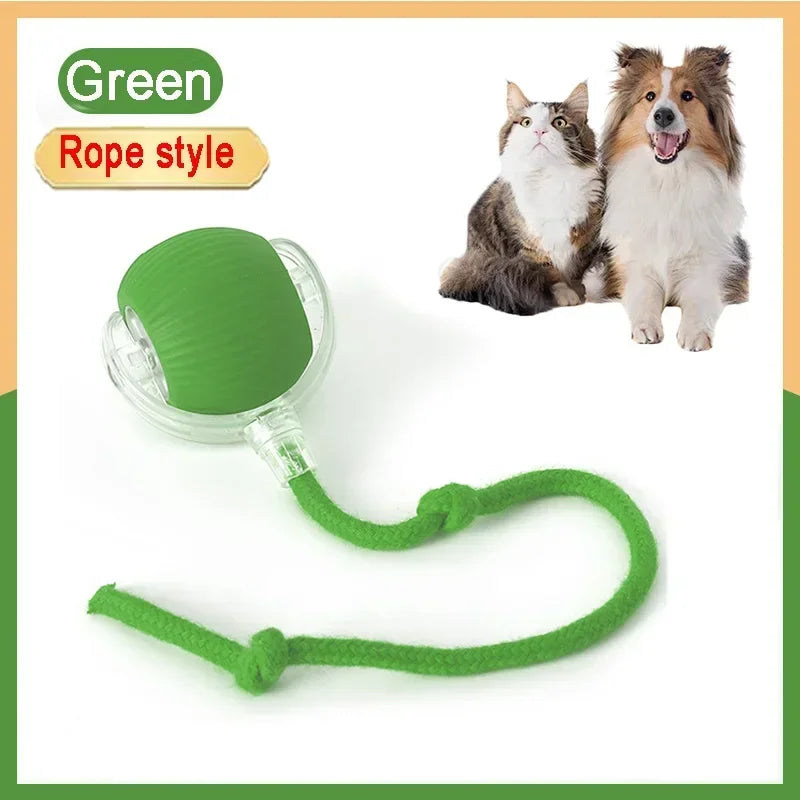 Forniture per animali domestici ricaricabili Addestramento per cani e gatti per imitare i giocattoli interattivi per animali domestici dei ratti Palla giocattolo elettrica Coda simulata Casa