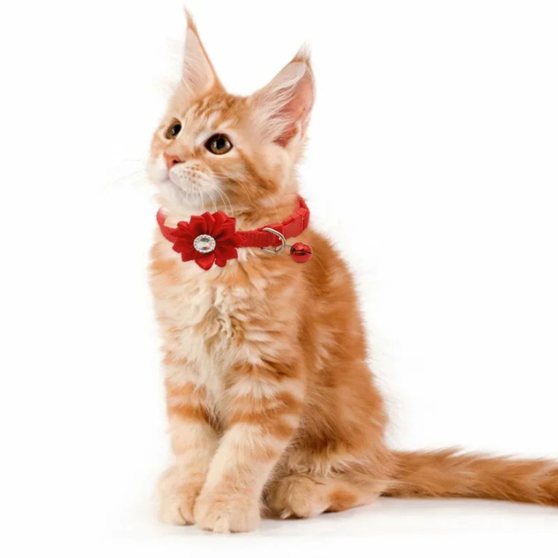 Collare carino colorato per cani e gatti collare regolabile con campana di fiori con collare a campana forniture per animali domestici 7 colori sono disponibili