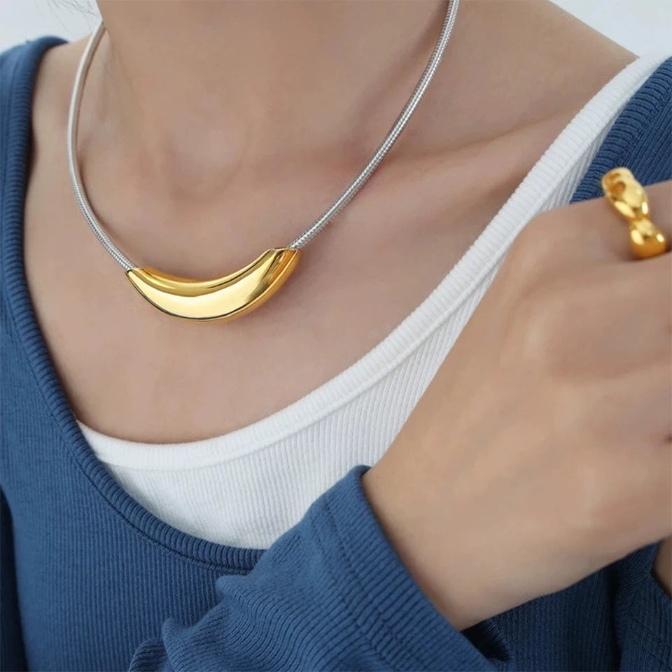 ZAKOL Collare a catena con osso di serpente in tubo di metallo dal design alla moda francese per donna Uomo Personalità Girocollo in acciaio inossidabile Gioielli per feste