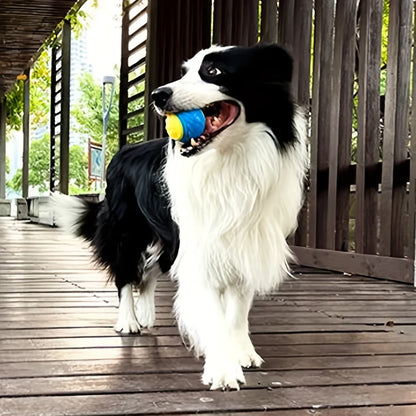 1pc giocattolo per cani durevole palla per l'equipaggio giocattolo per digrignare i denti per animali domestici per forniture interattive per cani da masticare forniture per animali domestici