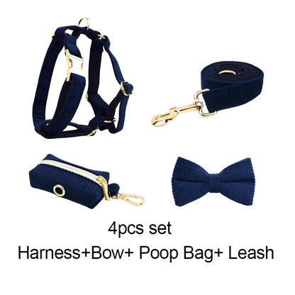Set di collare e guinzaglio per cani in velluto a coste blu violaceo, con targhetta personalizzata incisa, accessori per animali domestici, guinzaglio per cani in velluto a coste17