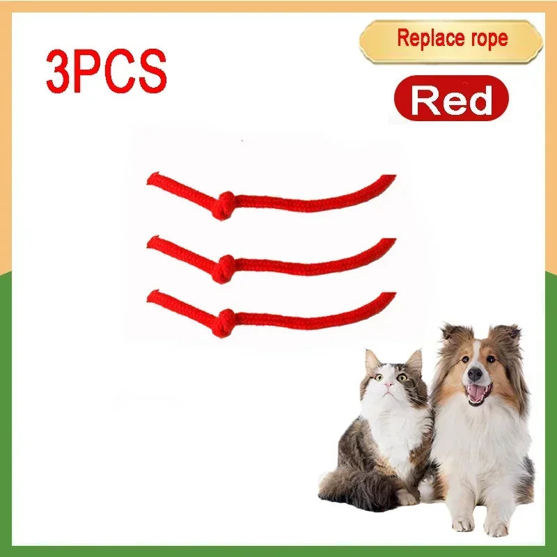 Forniture per animali domestici ricaricabili Addestramento per cani e gatti per imitare i giocattoli interattivi per animali domestici dei ratti Palla giocattolo elettrica Coda simulata Casa