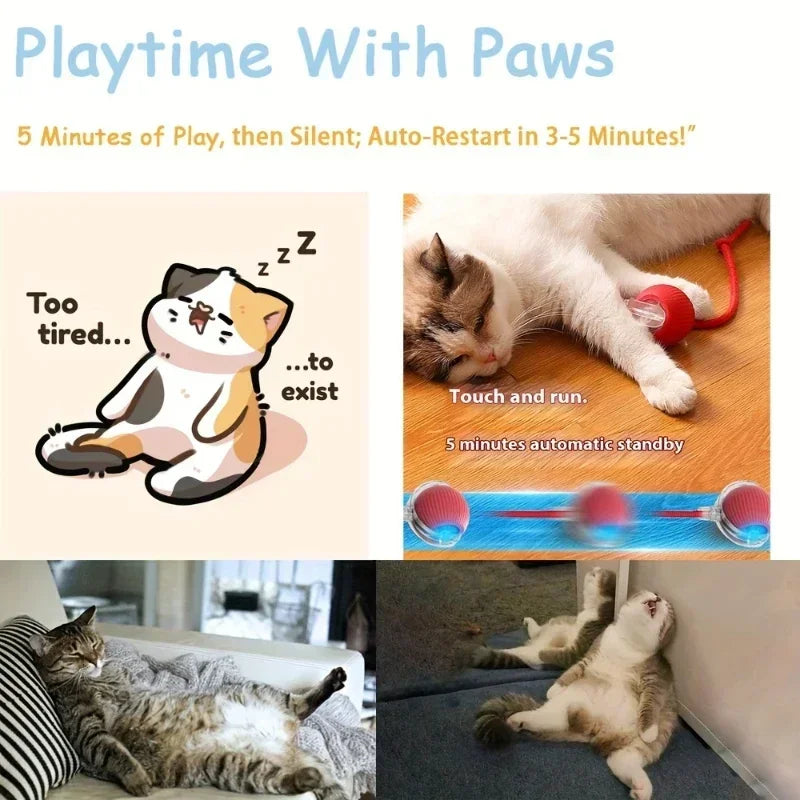 Forniture per animali domestici ricaricabili Addestramento per cani e gatti per imitare i giocattoli interattivi per animali domestici dei ratti Palla giocattolo elettrica Coda simulata Casa