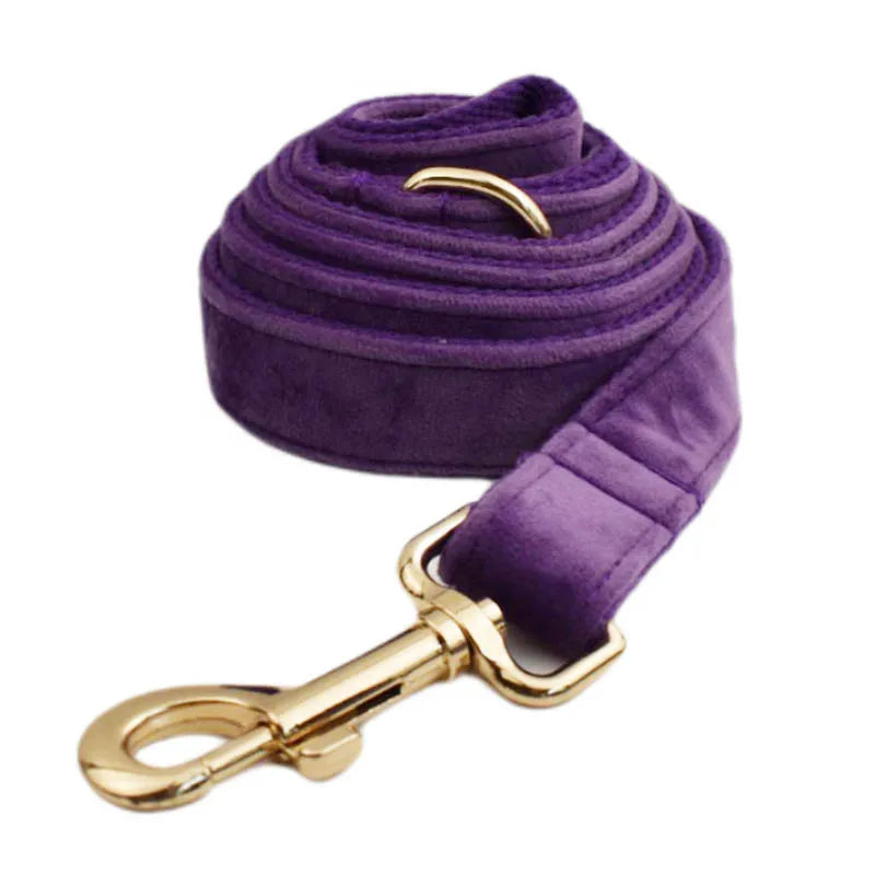 Set Collare e Guinzaglio per Cani in Velluto Viola per Cani di Taglia Piccola, Media e Grande con Targhetta Personalizzata Incisa Accessori per Animali Domestici Guinzaglio per Cani in Velluto 16