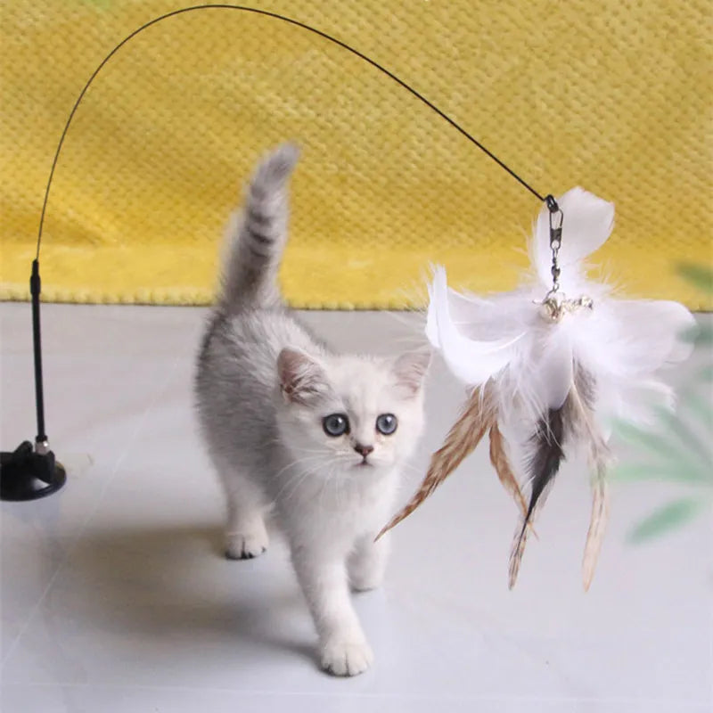 Giocattolo per gatti Divertenti giocattoli per gatti Giocattoli interattivi con piume per gatti Stuzzicare i morsi Giocattolo per gatti resistente ai morsi con ventosa Forniture per animali domestici