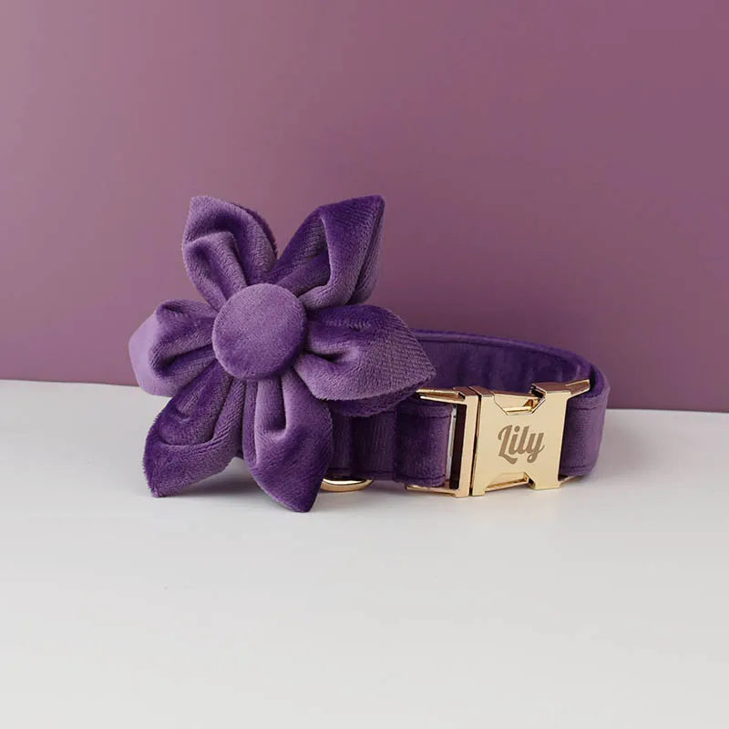 Set Collare e Guinzaglio per Cani in Velluto Viola per Cani di Taglia Piccola, Media e Grande con Targhetta Personalizzata Incisa Accessori per Animali Domestici Guinzaglio per Cani in Velluto 16