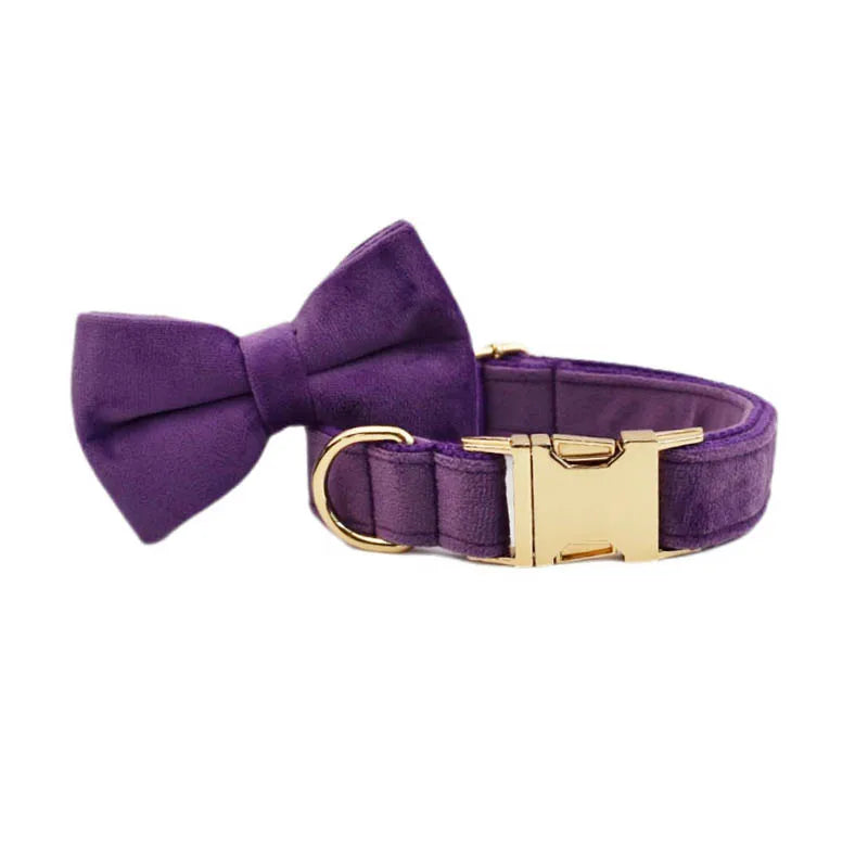 Set Collare e Guinzaglio per Cani in Velluto Viola per Cani di Taglia Piccola, Media e Grande con Targhetta Personalizzata Incisa Accessori per Animali Domestici Guinzaglio per Cani in Velluto 16