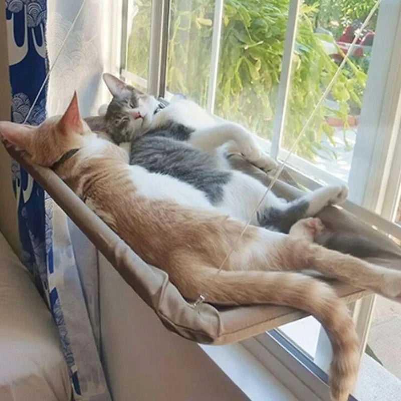 Amaca per gatti Appendiabiti per finestra Amaca per gatti Lavabile staccabile Letto per animali domestici Borsa per mensola di aspirazione Letti Sedile per gatti che dorme Forniture per animali domestici