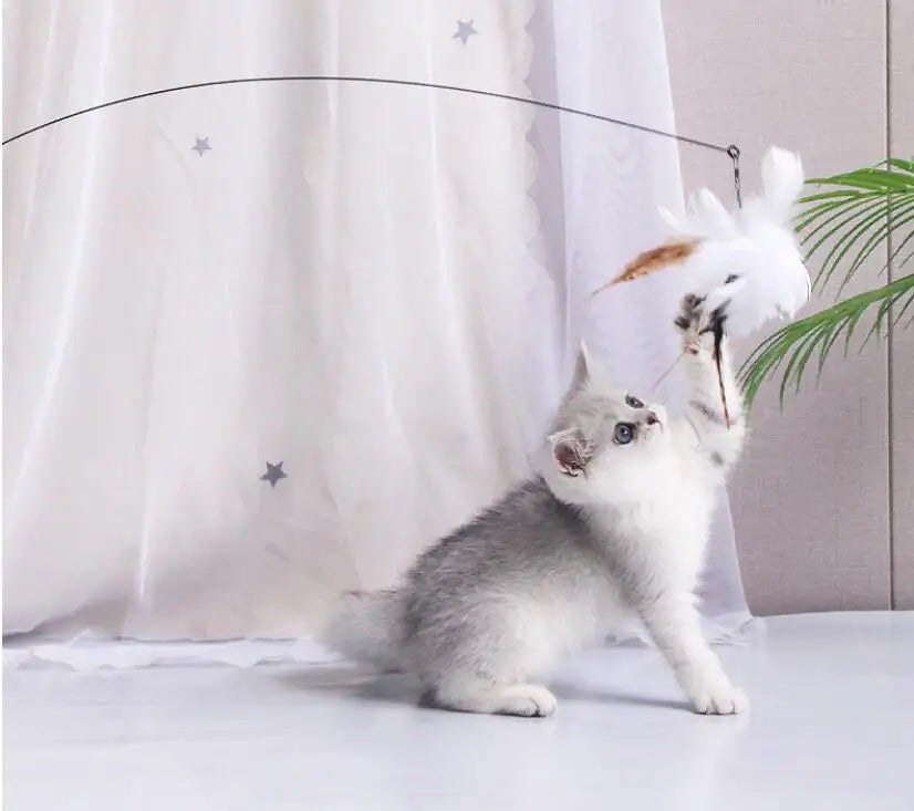 Giocattolo per gatti Divertenti giocattoli per gatti Giocattoli interattivi con piume per gatti Stuzzicare i morsi Giocattolo per gatti resistente ai morsi con ventosa Forniture per animali domestici