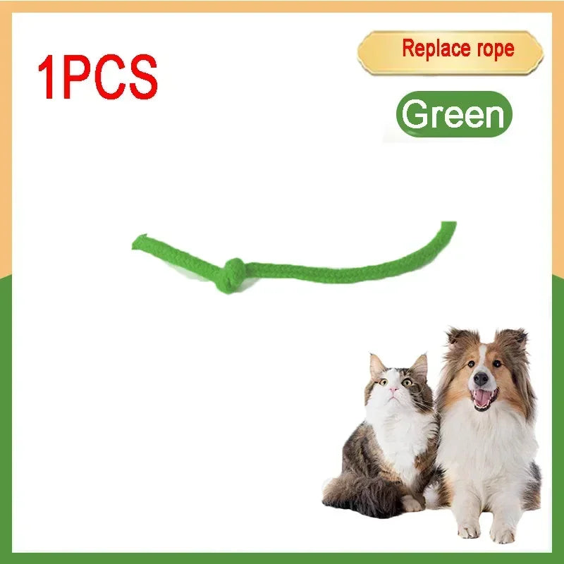 Forniture per animali domestici ricaricabili Addestramento per cani e gatti per imitare i giocattoli interattivi per animali domestici dei ratti Palla giocattolo elettrica Coda simulata Casa