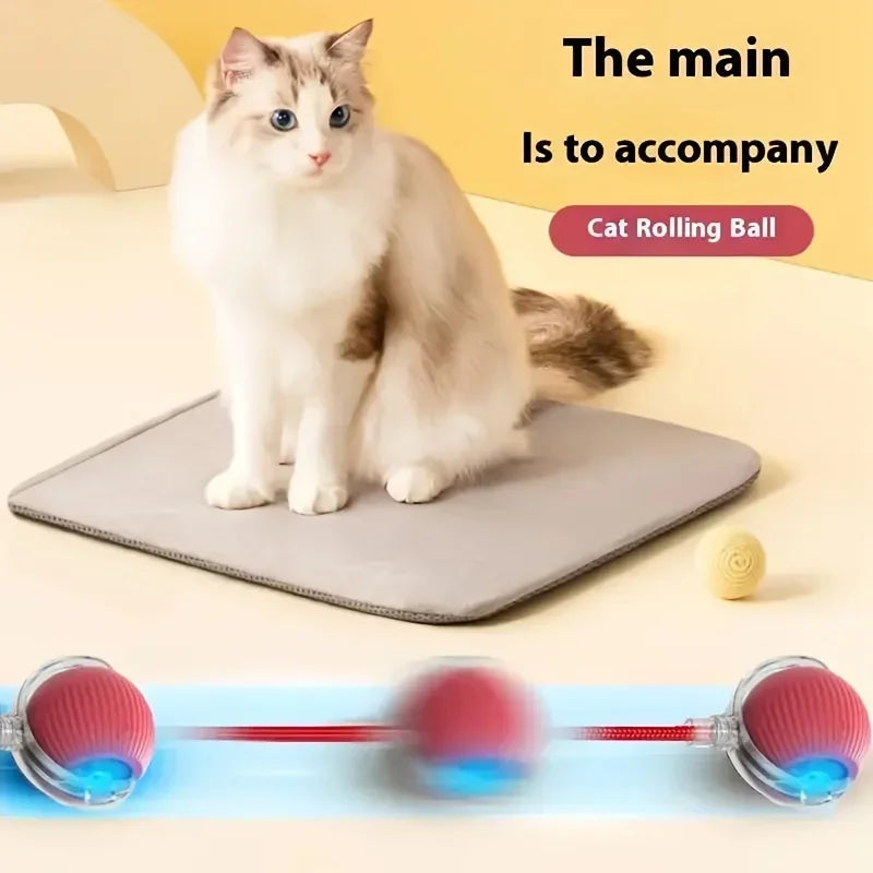 Forniture per animali domestici ricaricabili Addestramento per cani e gatti per imitare i giocattoli interattivi per animali domestici dei ratti Palla giocattolo elettrica Coda simulata Casa