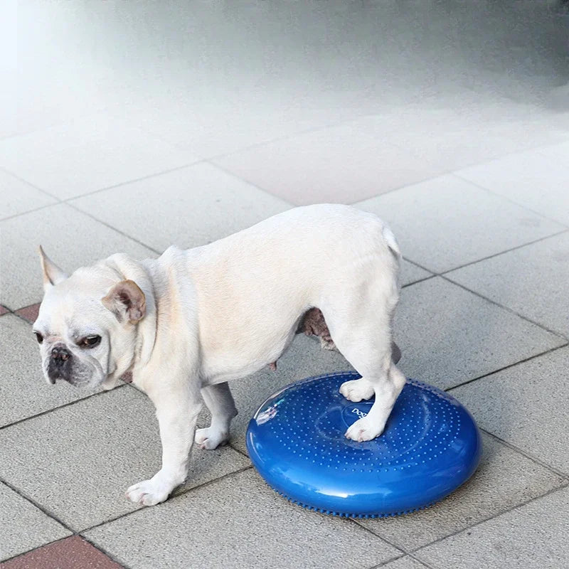 Cuscino per massaggio per animali domestici Piastra di equilibrio imbottita per cani Palla da yoga creativa Allenamento riabilitativo Forniture per animali Prodotti Giocattoli Accessori