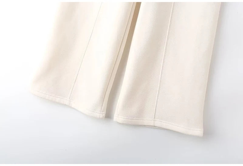 Abito caldo per le donne Pantaloni sportivi Set Inverno 2 pezzi Giacca e pantaloni in pile spesso con cerniera Set Tuta da donna in velluto per le donne