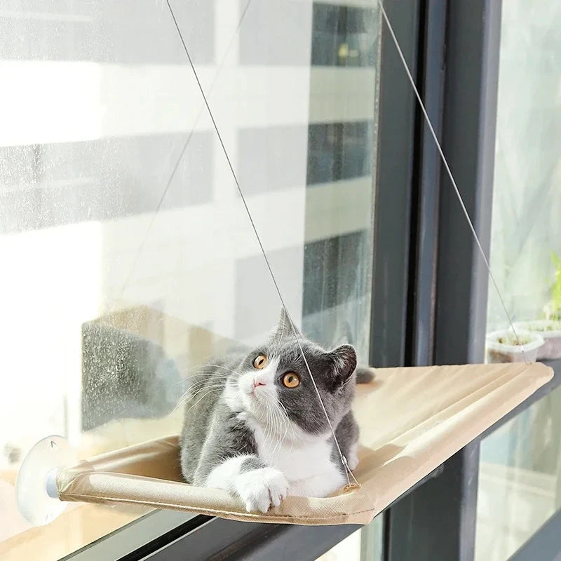 Amaca per gatti Appendiabiti per finestra Amaca per gatti Lavabile staccabile Letto per animali domestici Borsa per mensola di aspirazione Letti Sedile per gatti che dorme Forniture per animali domestici