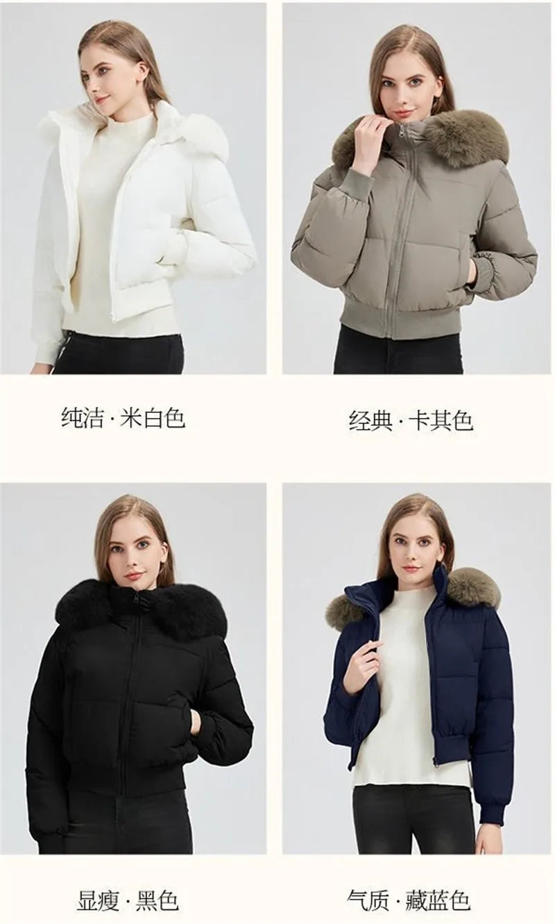 Inverno 2026 Nuova Giacca Corta Imbottita in Cotone Stile Europeo Americano da Donna, Giacca Corta alla Moda e Comoda da Indossare sopra gli Abiti