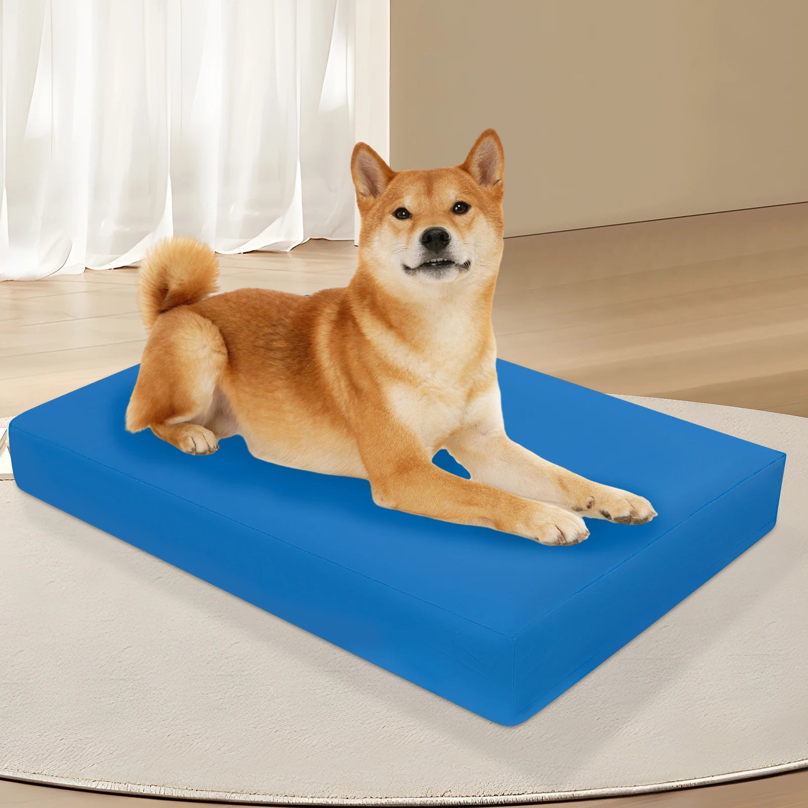 Copriletto per cani Copriletto per cani impermeabile in tessuto Oxford con cerniera Fodera per letto per cani rimovibile Facile da lavare Forniture per animali domestici S/M