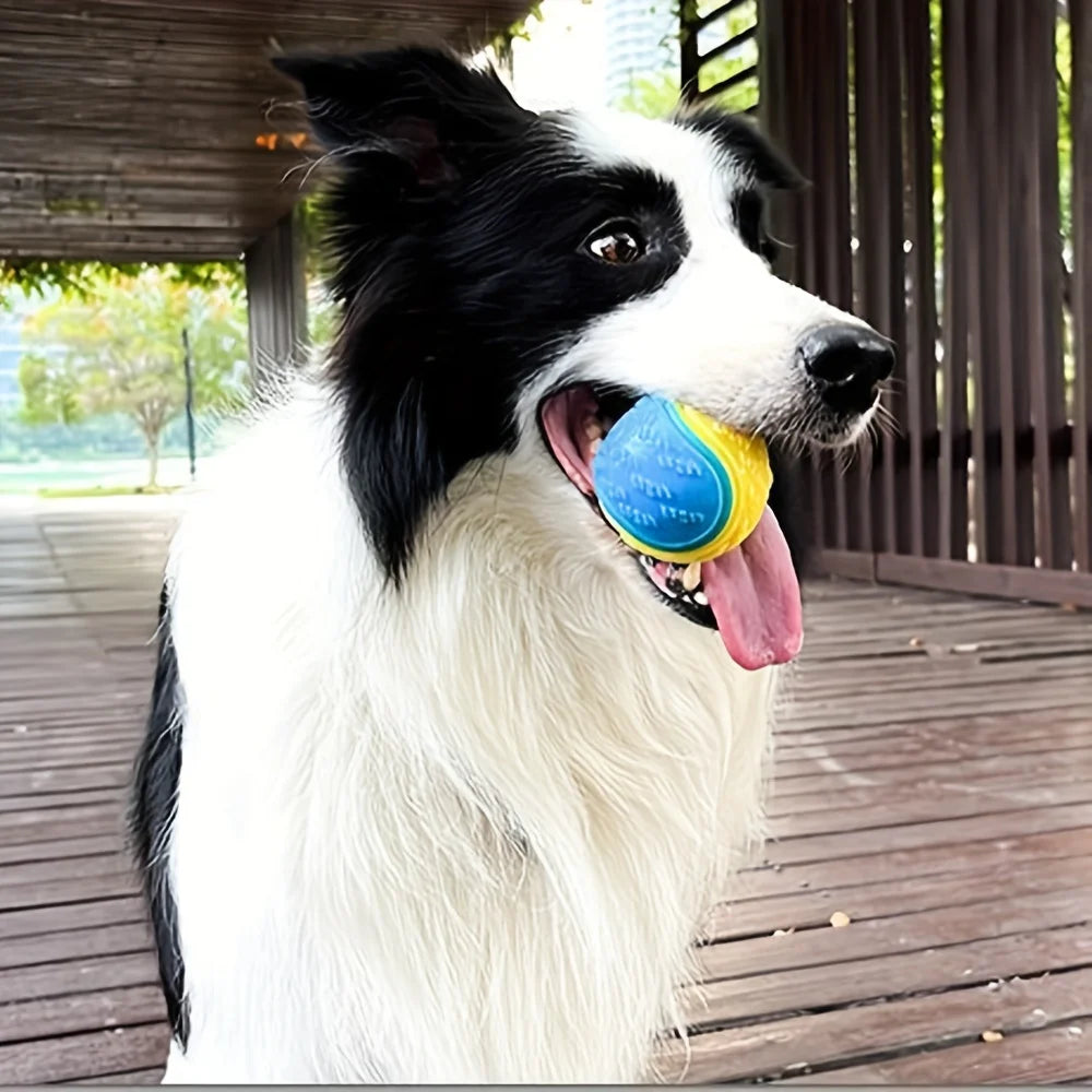 1pc giocattolo per cani durevole palla per l'equipaggio giocattolo per digrignare i denti per animali domestici per forniture interattive per cani da masticare forniture per animali domestici