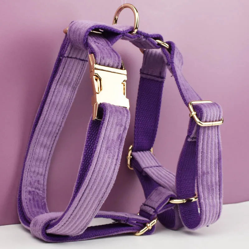 Set Collare e Guinzaglio per Cani in Corduroy Epic con Targhetta Personalizzata Incisa, Accessori per Animali Domestici, Guinzaglio per Cani in Corduroy15