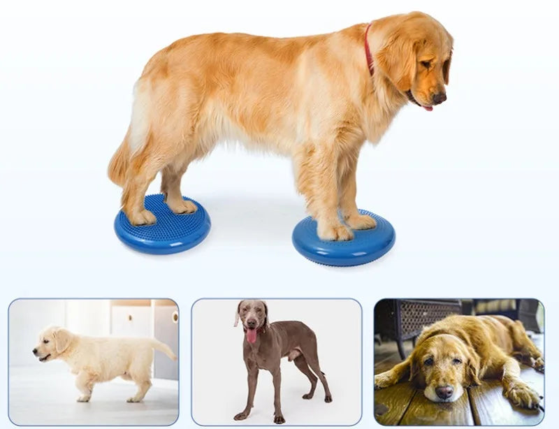 Cuscino per massaggio per animali domestici Piastra di equilibrio imbottita per cani Palla da yoga creativa Allenamento riabilitativo Forniture per animali Prodotti Giocattoli Accessori