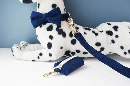 Set di collare e guinzaglio per cani in velluto a coste blu violaceo, con targhetta personalizzata incisa, accessori per animali domestici, guinzaglio per cani in velluto a coste17