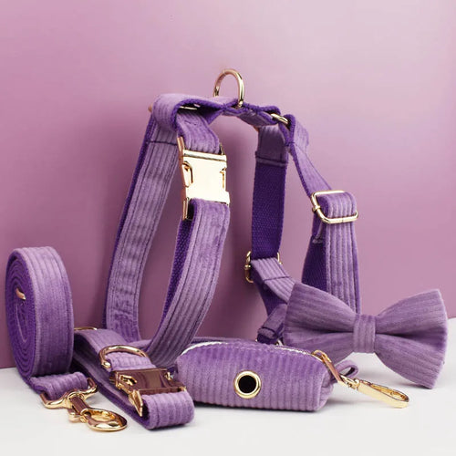 Set Collare e Guinzaglio per Cani in Corduroy Epic con Targhetta Personalizzata Incisa, Accessori per Animali Domestici, Guinzaglio per Cani in Corduroy15