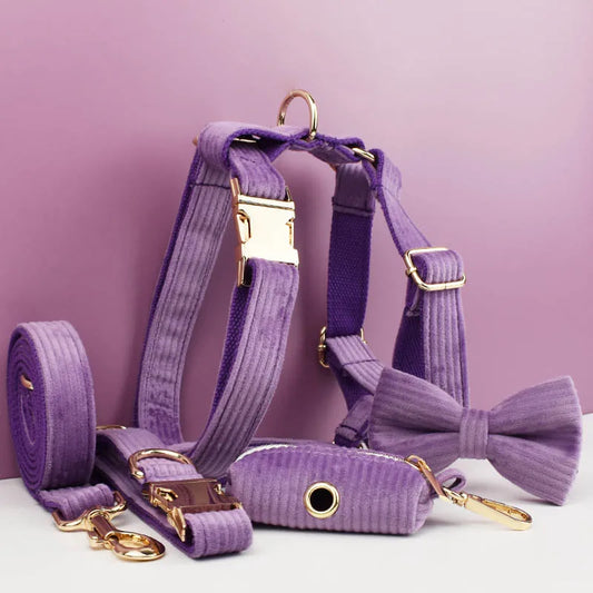 Set Collare e Guinzaglio per Cani in Corduroy Epic con Targhetta Personalizzata Incisa, Accessori per Animali Domestici, Guinzaglio per Cani in Corduroy15