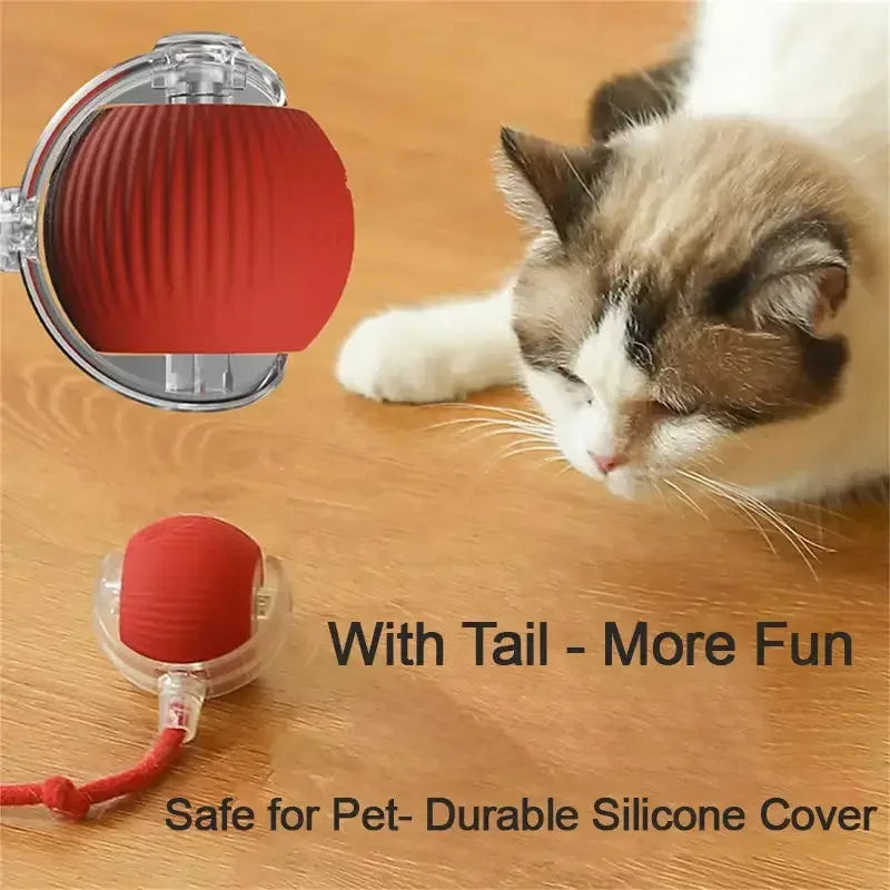 Forniture per animali domestici ricaricabili Addestramento per cani e gatti per imitare i giocattoli interattivi per animali domestici dei ratti Palla giocattolo elettrica Coda simulata Casa