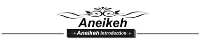 Aneikeh Pantofole con ciabatte ultra alte con piattaforma sexy Bling Scivoli in PU Scarpe da donna di nuova moda per adulti Estate Roma Classici a pois