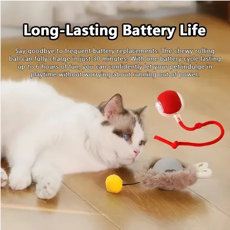 Forniture per animali domestici ricaricabili Addestramento per cani e gatti per imitare i giocattoli interattivi per animali domestici dei ratti Palla giocattolo elettrica Coda simulata Casa