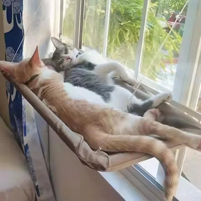Amaca invernale per gatti, appendiabiti per finestra, lavabile, staccabile, per animali domestici, con ventosa, per gatti che dormono, morbidi e confortevoli, forniture per animali domestici