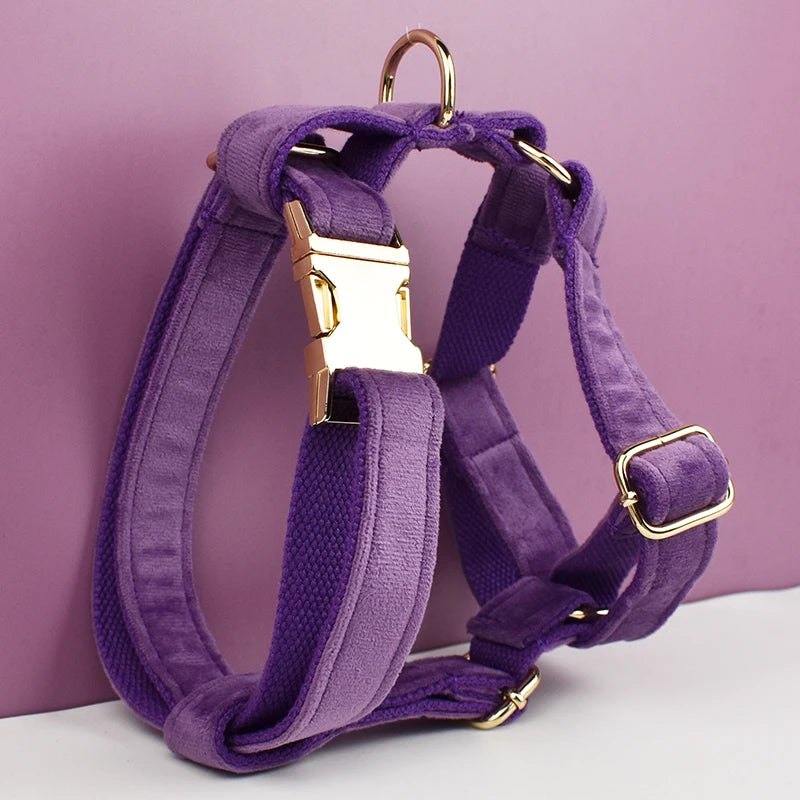 Set Collare e Guinzaglio per Cani in Velluto Viola per Cani di Taglia Piccola, Media e Grande con Targhetta Personalizzata Incisa Accessori per Animali Domestici Guinzaglio per Cani in Velluto 16