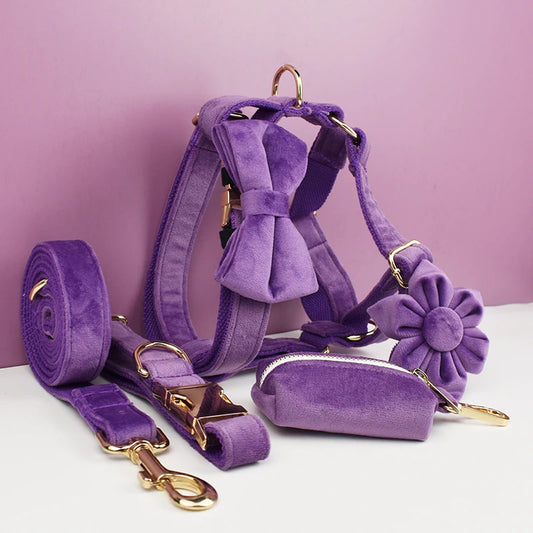 Set Collare e Guinzaglio per Cani in Velluto Viola per Cani di Taglia Piccola, Media e Grande con Targhetta Personalizzata Incisa Accessori per Animali Domestici Guinzaglio per Cani in Velluto 16