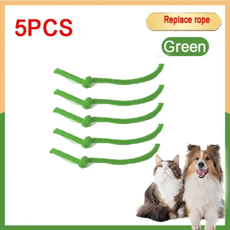 Forniture per animali domestici ricaricabili Addestramento per cani e gatti per imitare i giocattoli interattivi per animali domestici dei ratti Palla giocattolo elettrica Coda simulata Casa