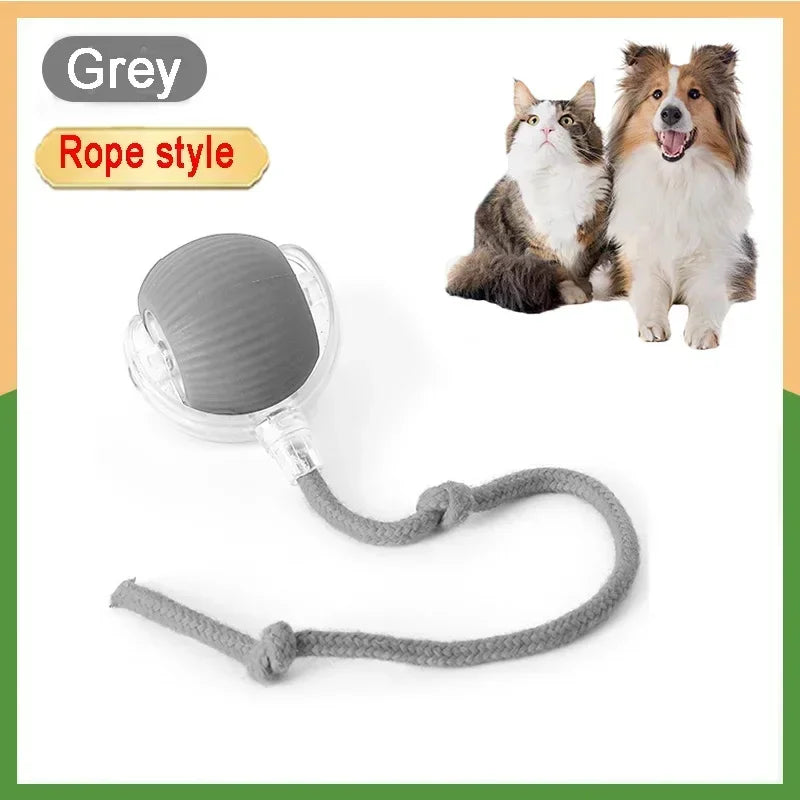 Forniture per animali domestici ricaricabili Addestramento per cani e gatti per imitare i giocattoli interattivi per animali domestici dei ratti Palla giocattolo elettrica Coda simulata Casa