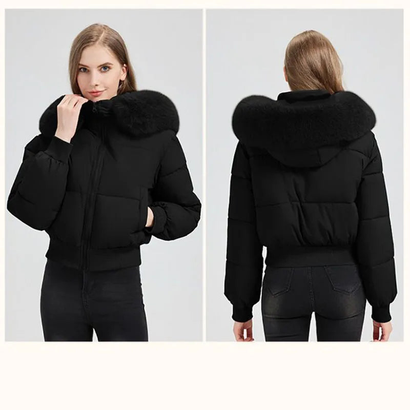 Inverno 2026 Nuova Giacca Corta Imbottita in Cotone Stile Europeo Americano da Donna, Giacca Corta alla Moda e Comoda da Indossare sopra gli Abiti