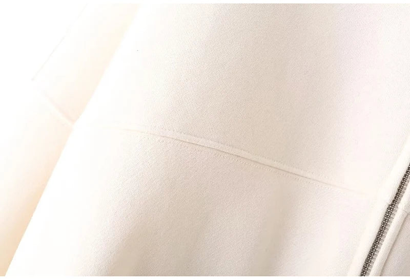 Abito caldo per le donne Pantaloni sportivi Set Inverno 2 pezzi Giacca e pantaloni in pile spesso con cerniera Set Tuta da donna in velluto per le donne