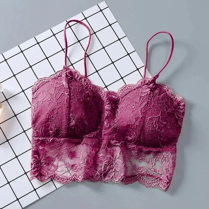 Summer Women Lace Sexy Top Sun Sleeveless Tops padded Bralette Bra Bustier Zipper Back Club Crop Tank lingerie женское белье