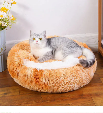 Winter Plush Pet Cat Bed Round Cat Cushion Cat House 2 in 1 Warm Cat Basket Pet Sleep Bag Cat Nest Kennel for Small Dog Suit New
