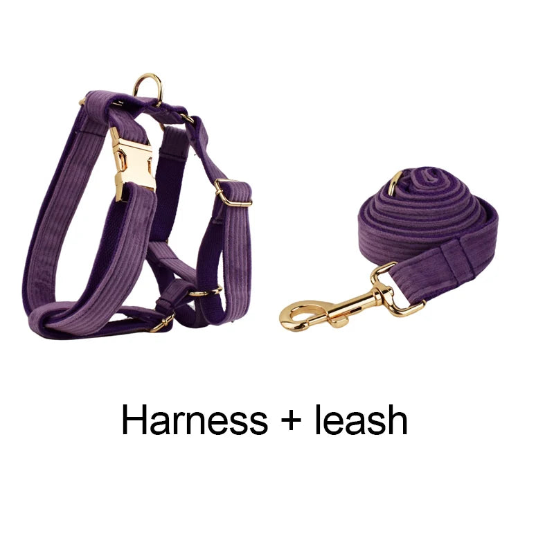 Set Collare e Guinzaglio per Cani in Corduroy Epic con Targhetta Personalizzata Incisa, Accessori per Animali Domestici, Guinzaglio per Cani in Corduroy15
