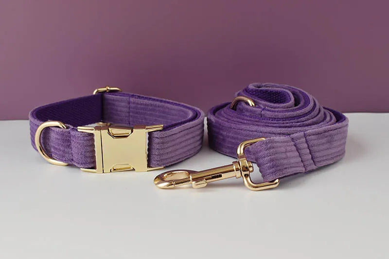 Set Collare e Guinzaglio per Cani in Corduroy Epic con Targhetta Personalizzata Incisa, Accessori per Animali Domestici, Guinzaglio per Cani in Corduroy15