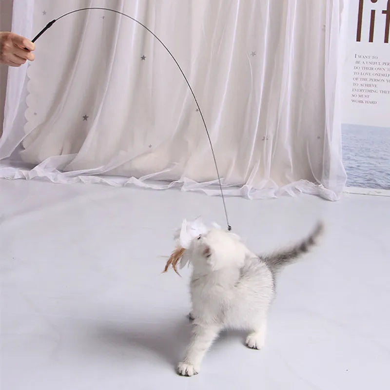 Giocattolo per gatti Divertenti giocattoli per gatti Giocattoli interattivi con piume per gatti Stuzzicare i morsi Giocattolo per gatti resistente ai morsi con ventosa Forniture per animali domestici