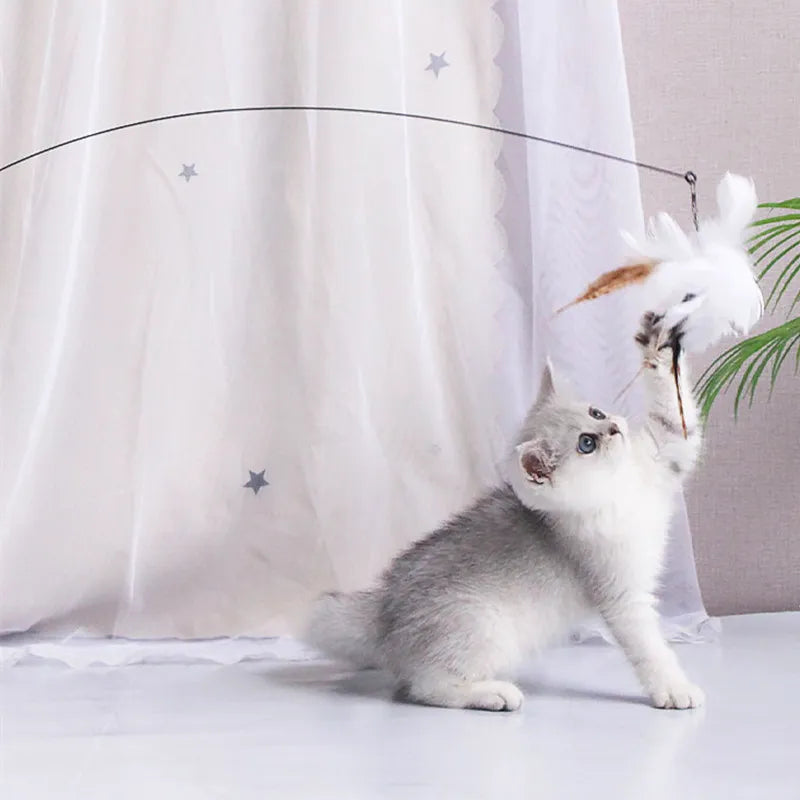 Giocattolo per gatti Divertenti giocattoli per gatti Giocattoli interattivi con piume per gatti Stuzzicare i morsi Giocattolo per gatti resistente ai morsi con ventosa Forniture per animali domestici