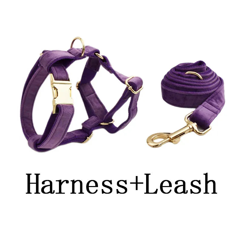 Set Collare e Guinzaglio per Cani in Velluto Viola per Cani di Taglia Piccola, Media e Grande con Targhetta Personalizzata Incisa Accessori per Animali Domestici Guinzaglio per Cani in Velluto 16