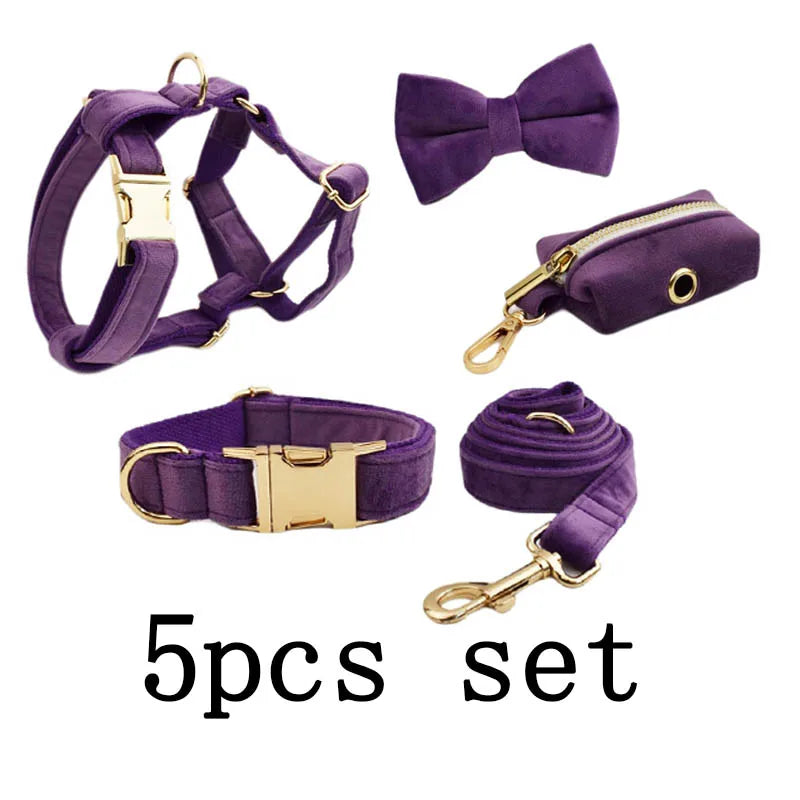 Set Collare e Guinzaglio per Cani in Velluto Viola per Cani di Taglia Piccola, Media e Grande con Targhetta Personalizzata Incisa Accessori per Animali Domestici Guinzaglio per Cani in Velluto 16